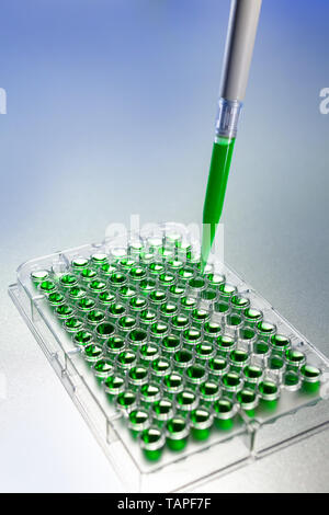 Equipment for testing samples in the environmental laboratory, isolated ...