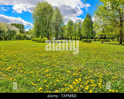 Beautiful romantic spring urban landscape in city park with blossoming trees, bright spring greenery and dandelions on lawn. Bright spring sunny day Stock Photo