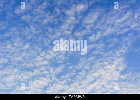 blue sky with many small Cumulus clouds predawn sky Stock Photo