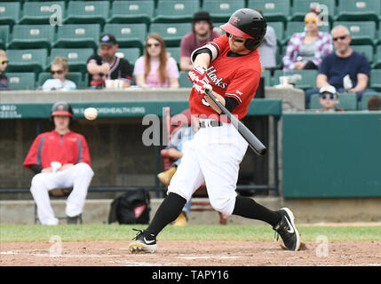 Fargo, ND, USA. 26th May, 2019. FM Redhawks manager Jim Bennett fires ...