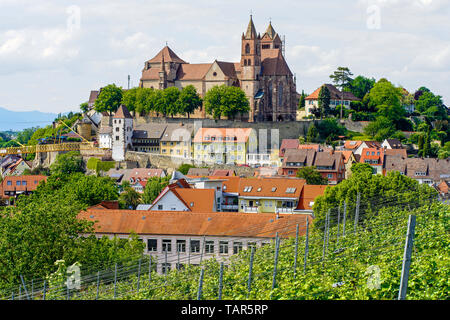 Panoramic View Of St. Stephan Münster (cathedral) In Breisach Am Rhein 