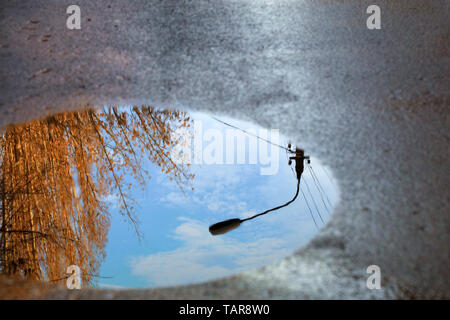 Mirror blurred reflection after a rain of the blue cloudy sky, the silhouette of a street lamp and a tree sunlit in a puddle on the asphalt. Stock Photo