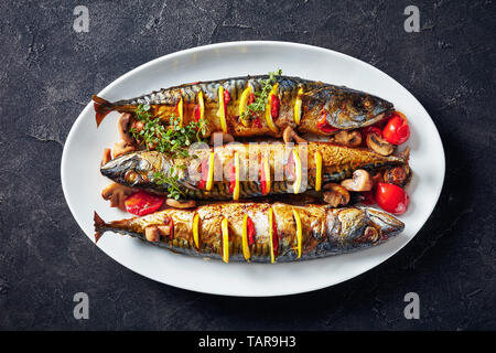 close-up of three whole broiled mackerels with lemon, tomatoes, mushrooms, spices and herbs on a white oval dish, horizontal view from above, flatlay, Stock Photo