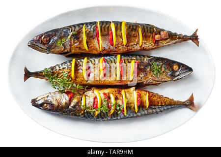 close-up of three whole grilled mackerel with lemon slices and fresh thyme on a white oval platter isolated on white background, horizontal view from  Stock Photo