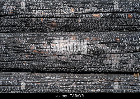 Burned wooden logs wall close up. Natural texture and background Stock Photo
