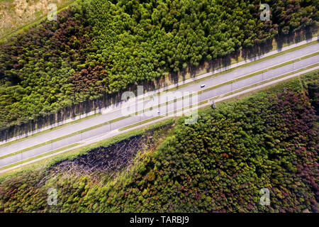 Straight empty highway through deep forest aerial top view. Bright summer image at sunny day Stock Photo