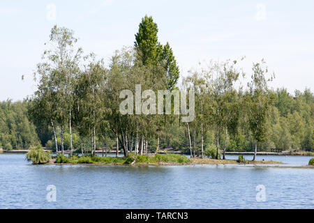 parc park Rieulay Northern France Etang des Argales Stock Photo