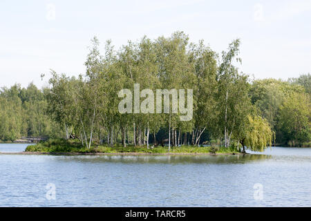 parc park Rieulay Northern France Etang des Argales Stock Photo