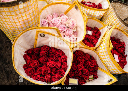 Bouquets of Ecuadorian roses ready to be shipped Stock Photo