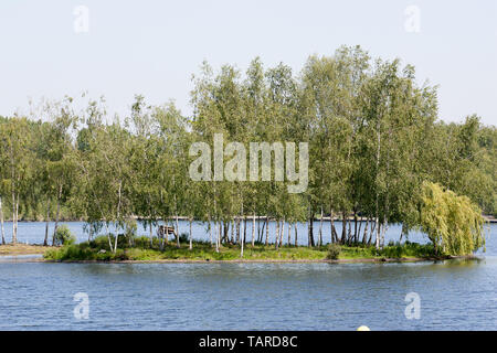 parc park Rieulay Northern France Etang des Argales Stock Photo