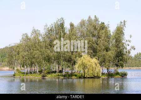 parc park Rieulay Northern France Etang des Argales Stock Photo