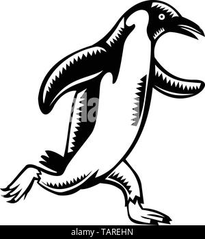 Retro woodcut style illustration of a gentoo penguin marathon runner running viewed from side on isolated background done in black and white. Stock Vector