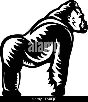 Retro woodcut style illustration of a silverback gorilla leaning on it's knuckles viewed from side on isolated background done in black and white. Stock Vector