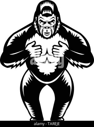 Retro woodcut style illustration of a silverback gorilla  thumping or beating it's chest viewed from front on isolated background done in black and wh Stock Vector