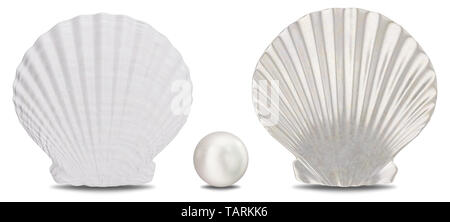 Set of pearls, sea shell, inner and outer side isolated on white background with shadow. Sea shell front view. Gem, women's jewelry, nacre beads. 3D i Stock Photo