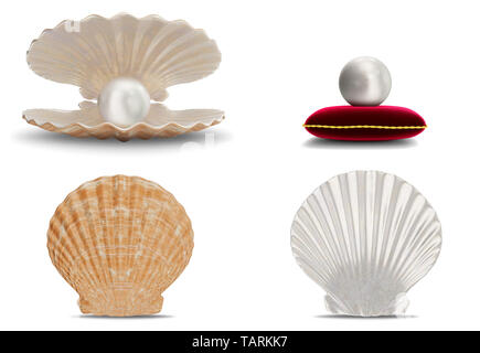 Set of sea shell with pearl inside. Collection gems, women's jewelry, nacre beads. Pearl on red velvet pillow. Set sea shells front view, shiny sea pe Stock Photo