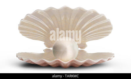 Sea shells with pearl inside. Gem, women's jewelry, nacre bead. For your banner, poster, logo. Sea shell, shiny sea pearl isolated on white background Stock Photo