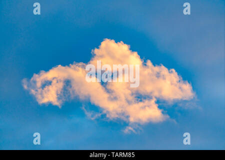 Cottony white clouds isolated against a vivid blue sky background. Wonderful skyscape and cloudscape viewed on a bright day. Stock Photo