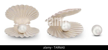 Set of sea shells with pearl inside. Collection gems, women's jewelry, nacre beads. For your banner, poster, logo. Set sea shells, shiny sea pearl iso Stock Photo