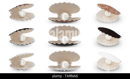 Set of sea shell with pearl inside. Collection gems, women's jewelry, nacre beads. For your banner, poster, logo. Set sea shells, shiny sea pearls iso Stock Photo
