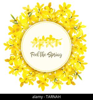 Feel the spring. Forsythia suspensa frame. Card template. Round Circle badge. blossoming yellow branch enclosure. Golden Bell, flowers boxing. Vector  Stock Vector