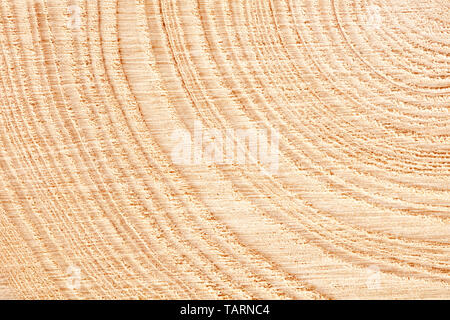 Large circular piece of wood cross section with tree ring texture pattern and cracks background. Detailed organic surface from nature. Stock Photo