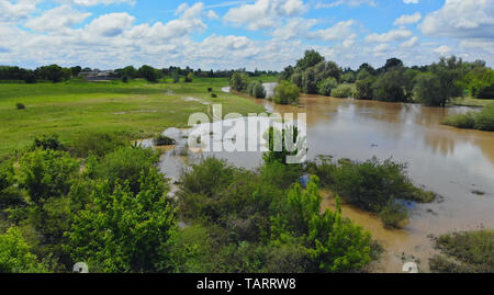 Aerial view flooded forest plains with country road Ukraine Stock Photo