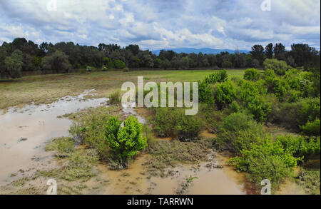 Landscape flooded spring of the river fields flooded with water Ukraine Stock Photo