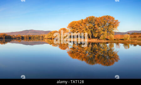 Autumn colorful trees under morning sunlight reflecting in tranquil river