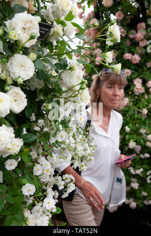 The 2019 RHS Chelsea Flower Show: visitors admire roses on the commercial stqands it he Great Pavillion. Stock Photo