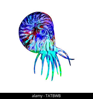 Nautilus swimming profile illustration, hand painted colorful abstract watercolor turquoise, blue, red splashes Stock Photo