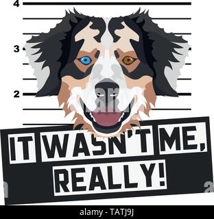 Illustration Mugshot Australian Shepherd - The guilty dog gets a police photo. Dog lovers and dog fans love them sassy dog.