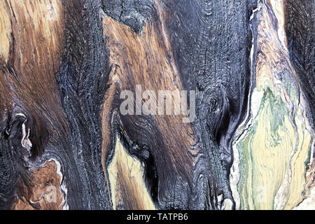 Marble stains that look like frozen lava flows, a chocolate tree, malachite emerald and black and blue shades of coal. Brown, black, green and white m Stock Photo