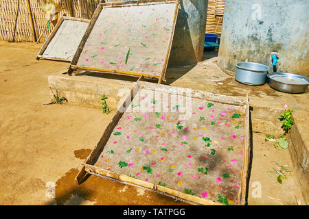 Process of Shan paper sun drying - wooden forms with wet natural paper, made of mulberry tree dough, leaves and petals, lay on the sun untill the pape Stock Photo