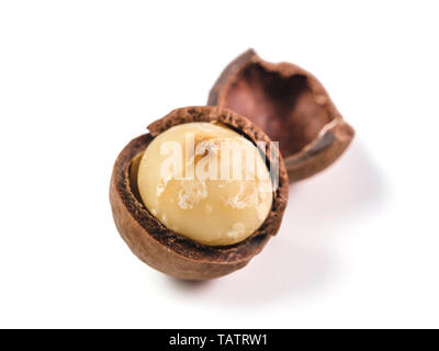 Peeled macadamia nut on white background. One macadamia nut with open shells isolated on white with clipping path. Copy space for text. Stock Photo