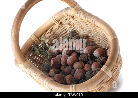 peanuts in a wicker basket Stock Photo