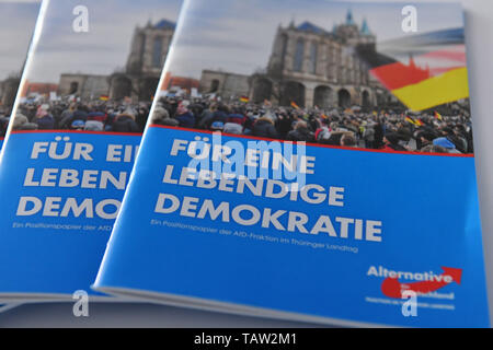 Erfurt, Germany. 21st May, 2019. The AfD in Thuringia presents a position paper of the state parliamentary group in a press conference. AfD has been a member of the Thuringian Parliament since 2014. Credit: Martin Schutt/dpa-Zentralbild/dpa/Alamy Live News Stock Photo