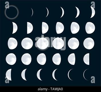 Lunar / moon phases cycle. All 28 shapes for each day - new, full