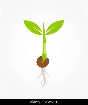 Little green plant seedling germinating from seed icon. Vector illustration Stock Vector