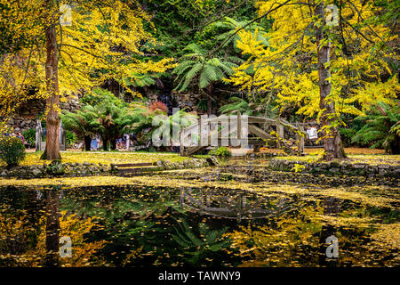 Autumn colours in Alfred Nicholas gardens Stock Photo
