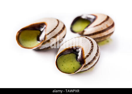 Escargots de Bourgogne isolated on white background Stock Photo