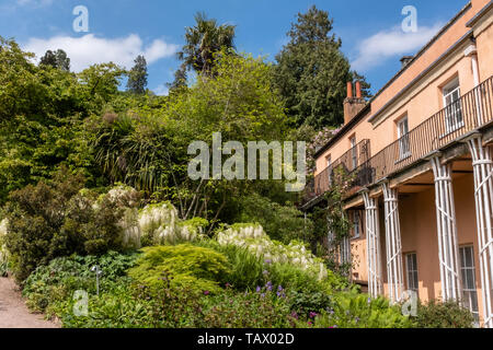 Pink house and trees, Killerton, National Trust, Devon, UK Stock Photo