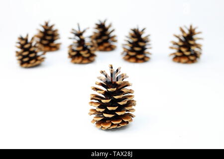 Christmas decoration with pine cones Stock Photo