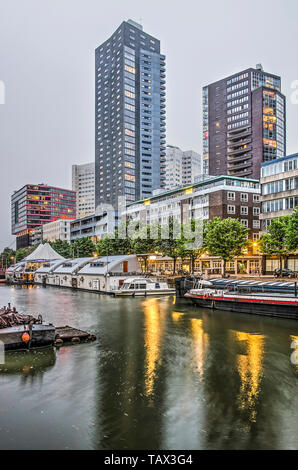 Rotterdam, The Netherlands, May 20, 2019: view across Wijnhaven harbour and Wijnhaven island with its modern residential towers at dusk Stock Photo