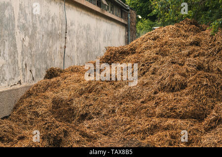 Horse manure pile behind the stable on the livestock farm Stock Photo