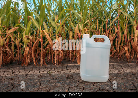 White plastic pesticide chemical jug in cornfield as mock up copy space ...