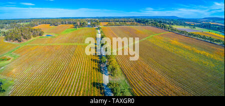 Gravel road passing through scenic winery in autumn. Mornington Peninsula, Australia Stock Photo