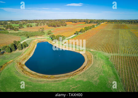 Aerial view of beautiful golden vineyard and pond in autumn. Mornington Peninsula, Victoria, Australia Stock Photo