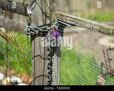 Combination lock on a fence in Boston's Victory Gardens in the back fens, which originally supplied the city with fresh produce during war shortages. Stock Photo