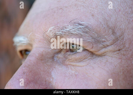 Close up eye of caucasian old man. Portrait of old man outdoors. Caucasian male face background, close up eyes, macro